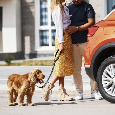 Ceinture de sécurité pour chien | SafeDrive - All in One